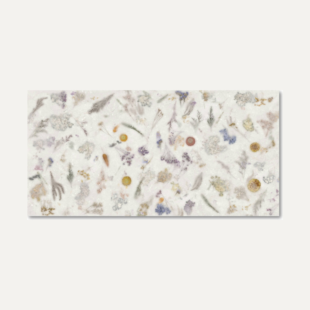 Space Decor Ntec White 60X120