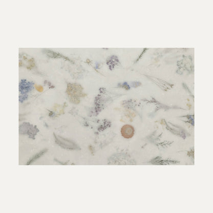 Space Decor Ntec White 60X120