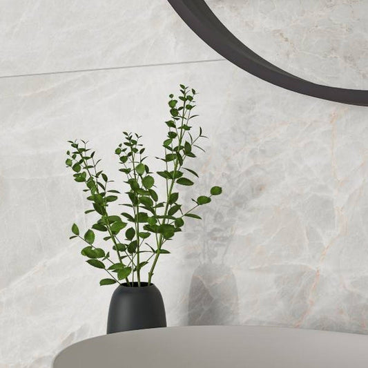 Brasilia White Polished 60x120
