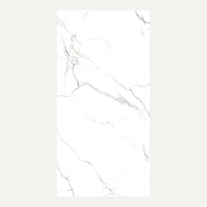 Snow White Polished 60x120