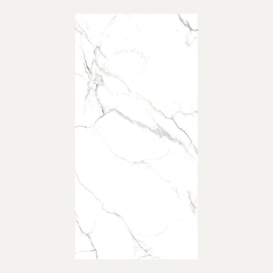 Snow White Polished 60x120