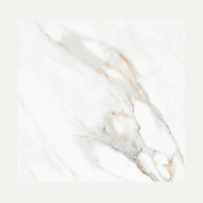 White Viola 60x60