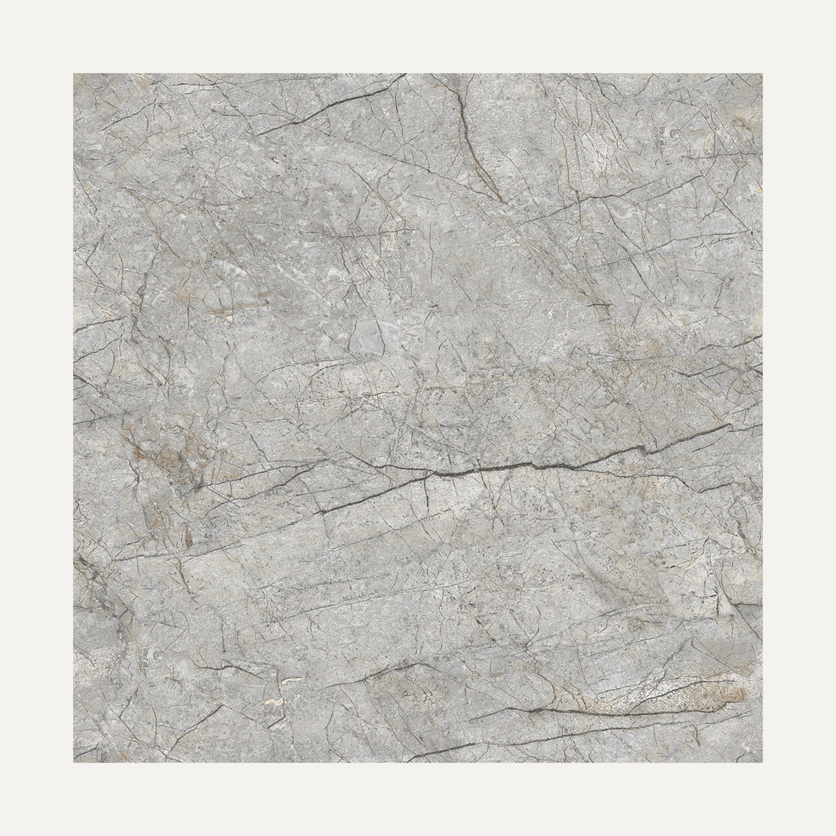 Renor Dark Grey 60x60