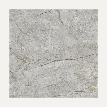 Renor Dark Grey 60x60