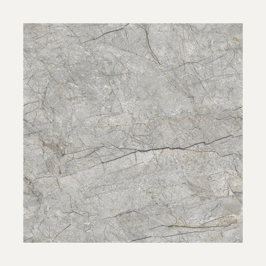 Renor Dark Grey 60x60