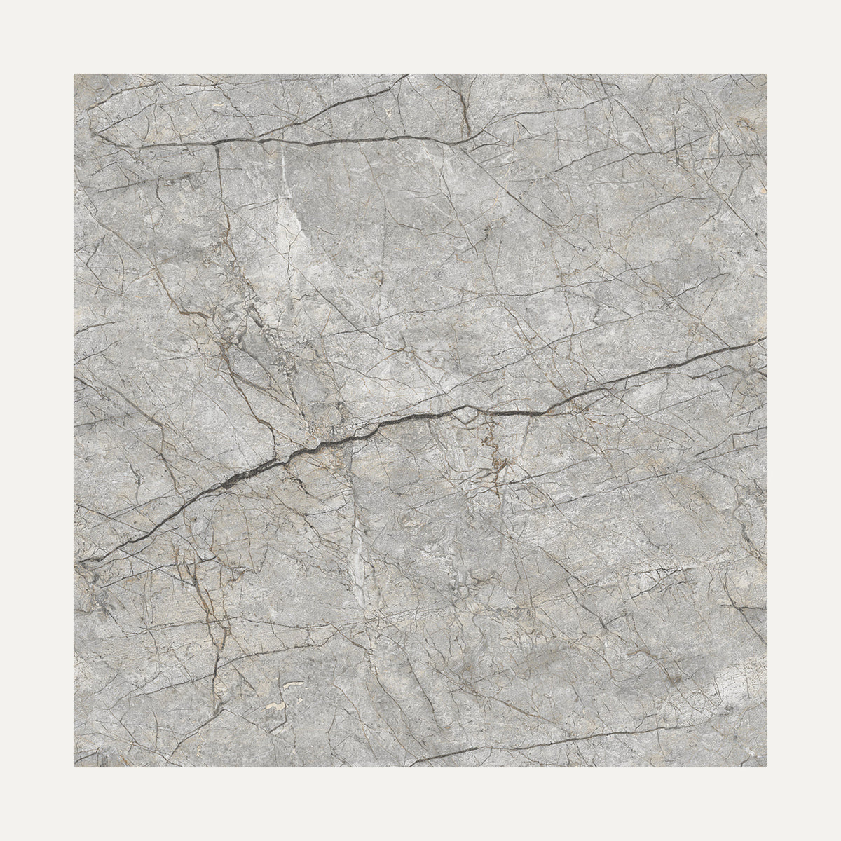 Renor Dark Grey 60x60