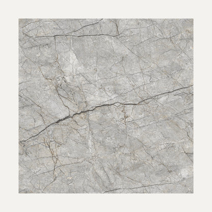 Renor Dark Grey 60x60