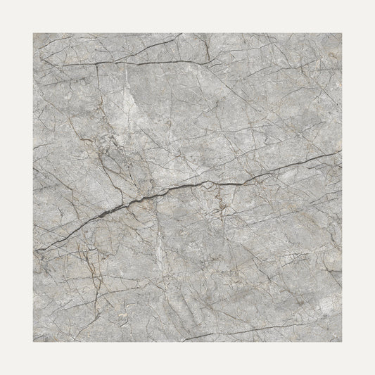 Renor Dark Grey 60x60