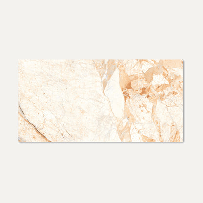 Sahara Brown 60x120