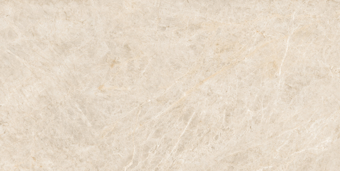 Taj Mahal Polished 60x120