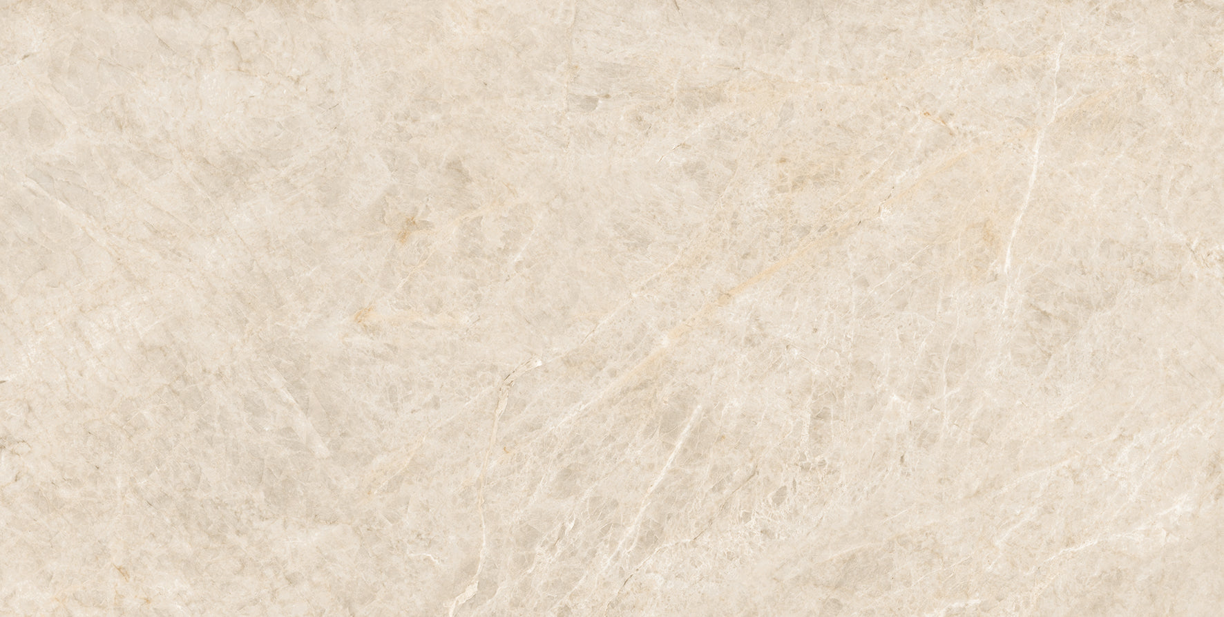 Taj Mahal Polished 60x120