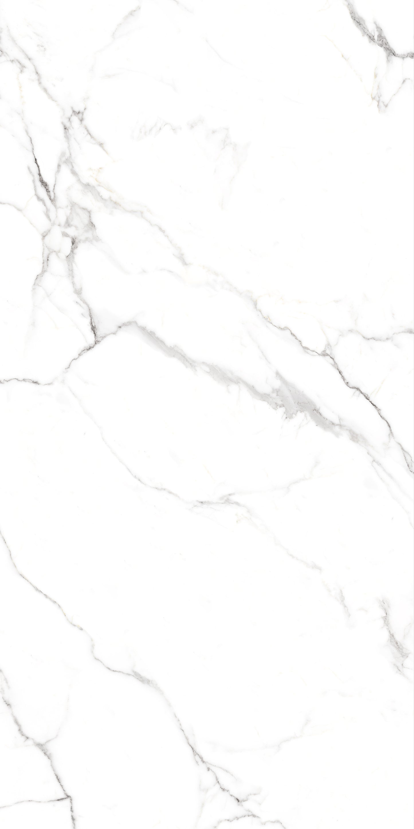 Snow White Polished 60x120