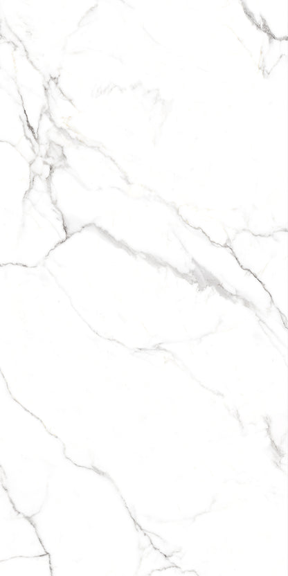 Snow White Polished 60x120