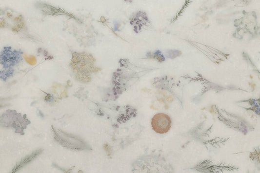 Space Decor Ntec White 60X120