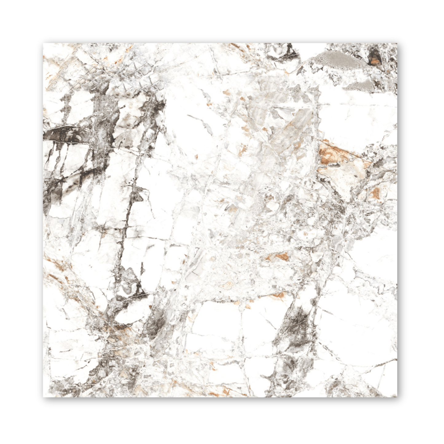 Zebra White Gloss 60x60