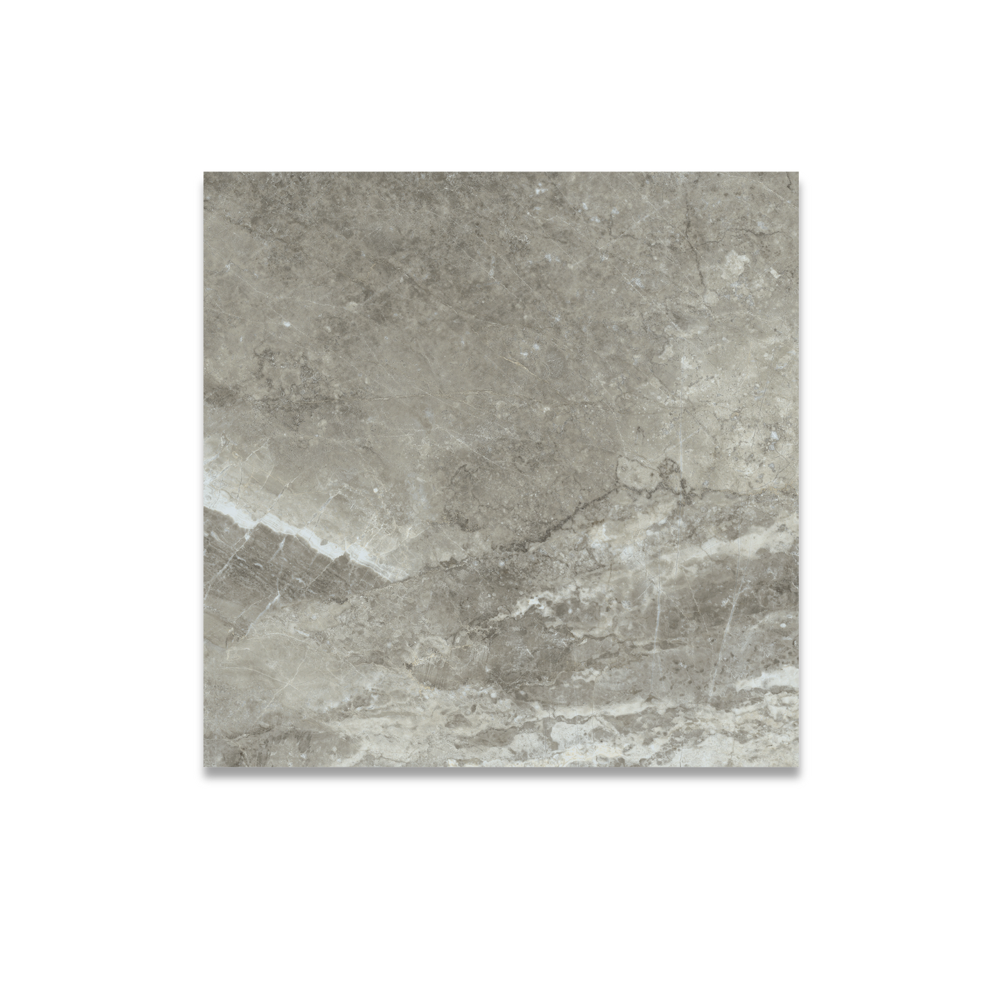 Arezzo Tortora Matt 75x75