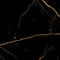 Elegant Porcelain Tiles-Atlantis Black 60x60 Gold Matt Finish