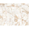 Luxury Icon Gold 30x60 Porcelain Tiles – Polished White Finish