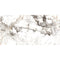Elegant Zebra 30x60 Polished Porcelain Tiles in Radiant White