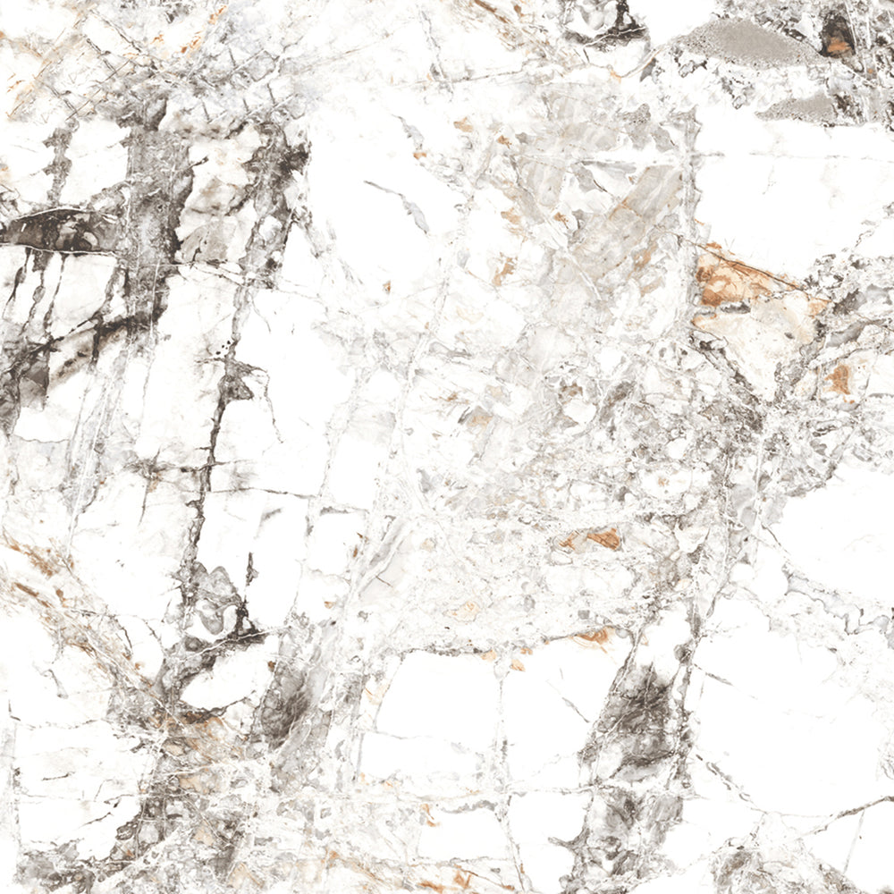 Zebra White Gloss 60x60