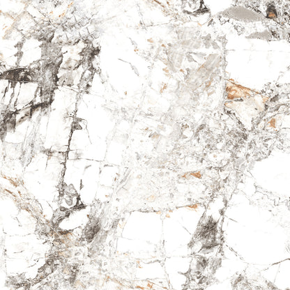 Zebra White Gloss 60x60