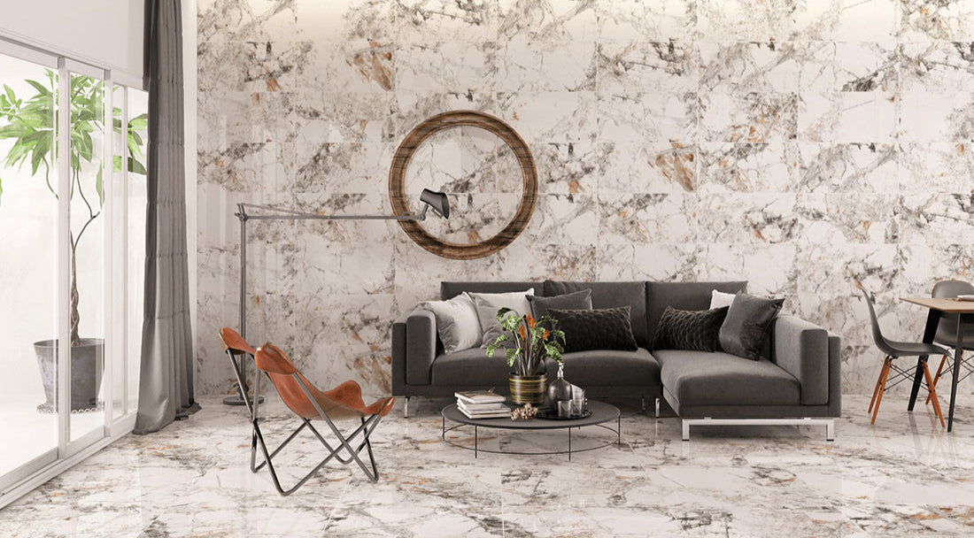 Zebra White Gloss 60x60
